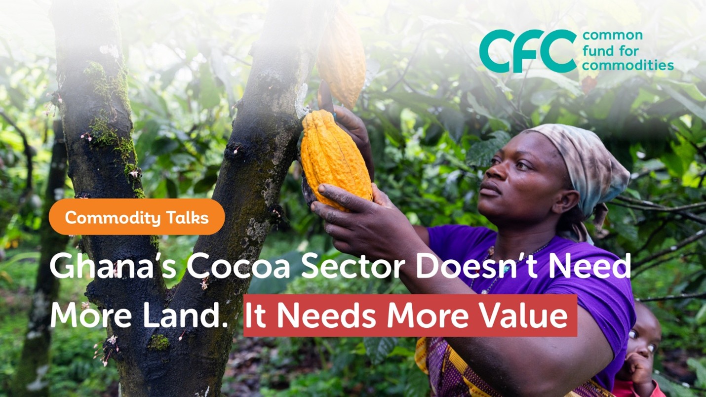 Ghana_cocoa