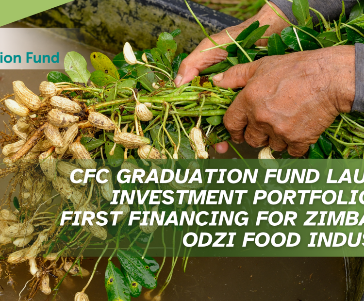 CFC FCDO ODZI 
